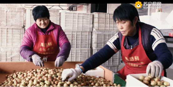 當全民煥新節(jié)遇上精準扶貧，讓電商節(jié)有了特別的溫度