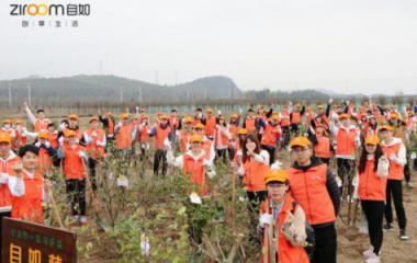 杭州自如綠色公益：共建“自如林”，與城市一起深呼吸