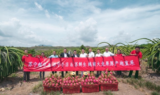 越南火龍果的20分鐘旅程，蘇寧快消實地見證