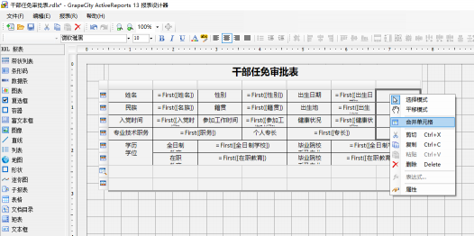 驚艷不止于顏值！報(bào)表控件ActiveReports V13.1 正式發(fā)布