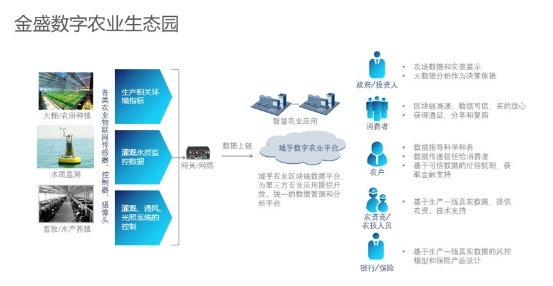 技術(shù)驅(qū)動革新，域乎為數(shù)字農(nóng)業(yè)注入強(qiáng)心劑