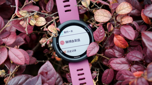 Garmin Forerunner 245，全新升級(jí)帶來全新體驗(yàn)