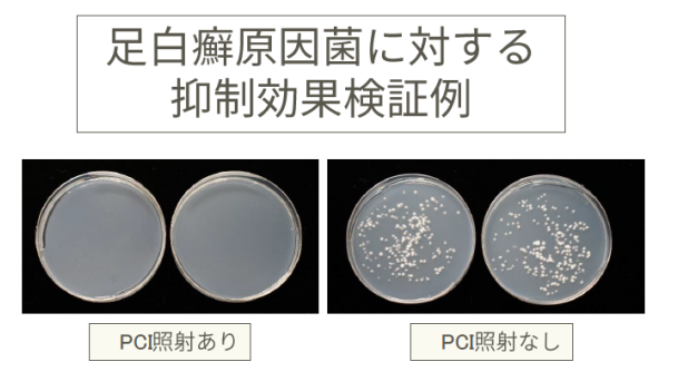 科技界的寶藏男孩 夏普黑科技PCI技術(shù)再曝新功能 5G手機(jī)已交付