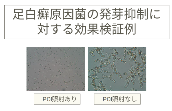 科技界的寶藏男孩 夏普黑科技PCI技術(shù)再曝新功能 5G手機(jī)已交付