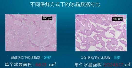 引爆冰箱行業(yè)的“微晶一周鮮”大揭秘！美的微晶冰箱如何做到“不凍原鮮，口感如初”？