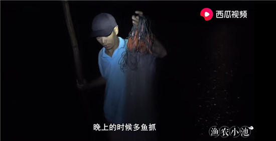 烏魚主動(dòng)上船、魚蝦講究體面，“姜太公”式打漁走紅西瓜視頻