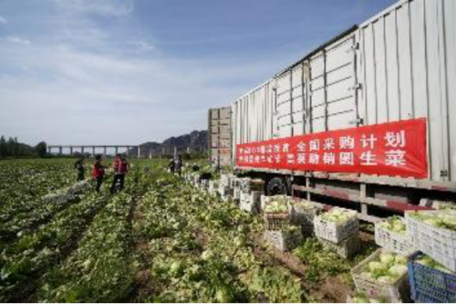 美菜網(wǎng)加速推進縣域合伙人制度，助力鄉(xiāng)村振興