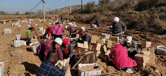 僅用一個小程序，傳統(tǒng)國貨品牌七匹狼挺進(jìn)下沉市場實現(xiàn)新增客流90萬