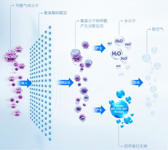 炭包除醛再升級(jí) 凈美仕氨基酸炭包即將上市