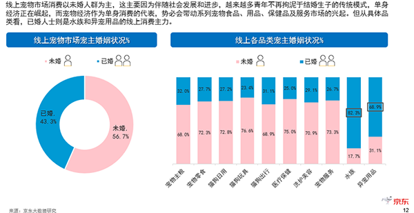 未婚一族養(yǎng)貓狗 年長(zhǎng)一代好水族 看京東超市揭秘寵物消費(fèi)市場(chǎng)