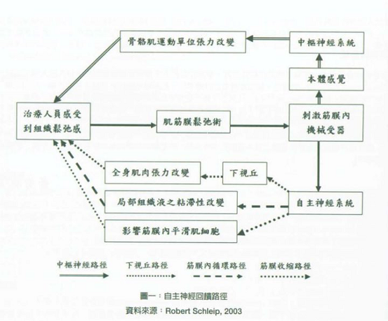 筋膜槍究竟是什么，真的有用嗎？