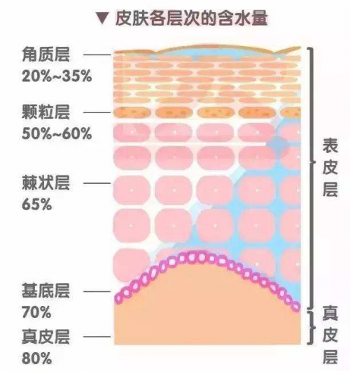 干皮如何補(bǔ)水？正確補(bǔ)水方式讓你度過干燥春季