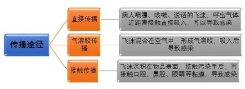 b-MOLA魚仔空氣凈化器：警惕！無癥狀感染者也可成為傳染源