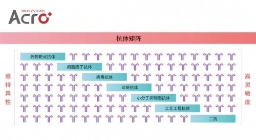 ACROBiosystems百普賽斯抗體矩陣再添新IFN-γ，助力加速生物藥研發(fā)上市進(jìn)程