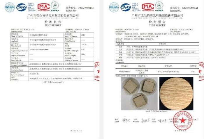 千年舟六維鋅效抗菌石墨烯生態(tài)板，開啟綠色家居新時代的「雙抗一防」