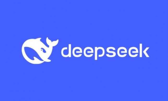 Deepseek算卦DIC 2025，今年“巳”個(gè)好年